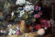 A Still Life of Pelargoniums in a Pot with Camellias - George Clare