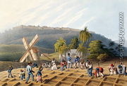 Slaves Planting Cane Cuttings, from 'Ten Views in the Island of Antigua', 1823 - William Clark