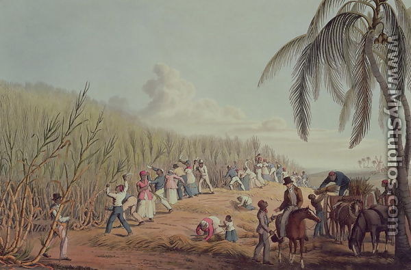Slaves Fell the Ripe Sugar, Antigua, 1823 - William Clark