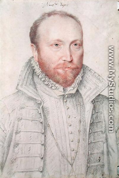 Portrait of Antoine de Crussol (1525-73) Duc d