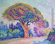 The Pine Tree at St. Tropez, 1909 - Paul Signac