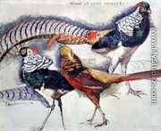 Lady Amherst's Pheasant - Theo van Rysselberghe