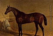 'Beeswing', a bay racehorse in a loosebox - John Frederick Herring Snr