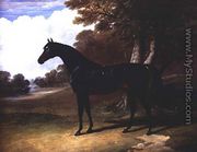 Gaucus, a dark bay horse in a wooded landscape - John Frederick Herring Snr