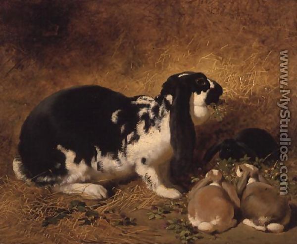 A Doe Rabbit and her three young, 1851 - John Frederick Herring Snr