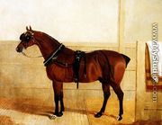 Prize Shire Horse in Harness, 1835 - John Frederick Herring Snr
