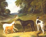 Greyhounds, 'Spot', 'Skylark', 'Nettle' and 'Sky', 1839 - John Frederick Herring Snr