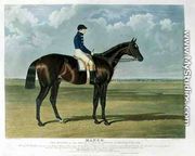 'Mango', the Winner of the Great St. Leger Stakes at Doncaster, 1837 - John Frederick Herring Snr