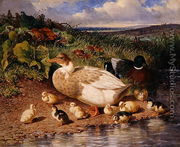 Ducks by a Stream, 1863 - John Frederick Herring Snr