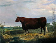 Portrait of a Brown Bull, 1831 - John Frederick Herring Snr