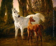 Mare and Foal startled while watering in a Stream, 1854 - John Frederick Herring Snr