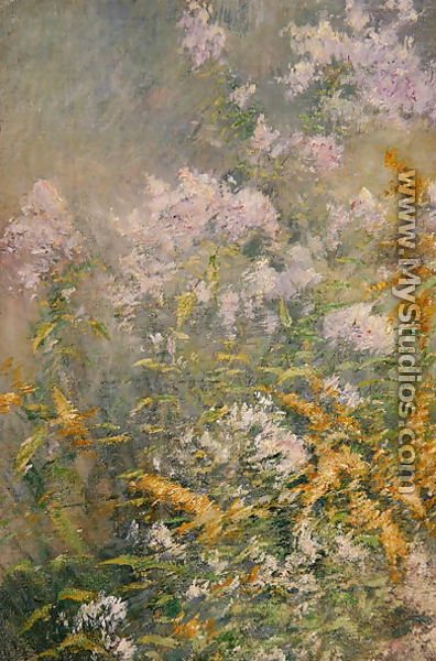 Meadow Flowers (Golden Rod and Wild Aster), c.1892 - Henry Tonks