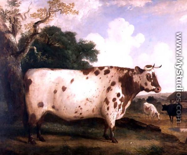 A Shorthorn Bull in a Landscape, 1841 - George Cole, Snr.