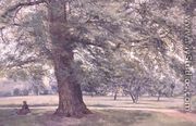 Study of an Elm Tree - Thomas Collier