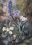 Purple Orchid and Primrose - Thomas Collier