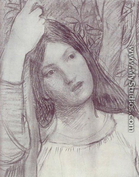 Study of a Girl  1908 - John William Waterhouse