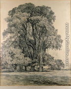 Elm trees in Old Hall Park, East Bergholt, 1817 - John Constable