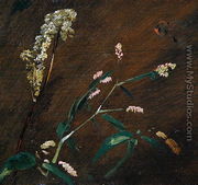 Flower Studies: Persicaria and Meadowsweet - John Constable