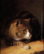 A Tabby Cat 1817 - Abraham Cooper