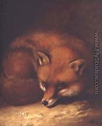 A Fox  1817 - Abraham Cooper