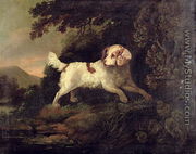 Study of Clumber Spaniel in Wooded River Landscape - Edward Cooper