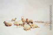 Snowy Landscape with sheep - Thomas Sidney Cooper