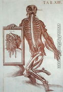 Anatomical figure, from  Tabulae Anatomicae,  Rome, 1788 - Pietro Da Cortona (Barrettini)