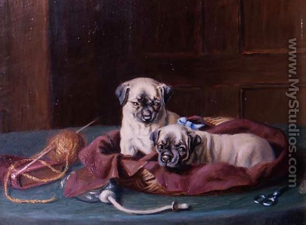Pug Puppies in a Basket - Horatio Henry Couldery