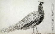 Peacock at Capel Curig, c.1845 - David Cox