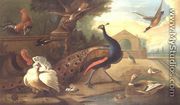 A Peacock, cockerel, turkey and other birds - Marmaduke Craddock