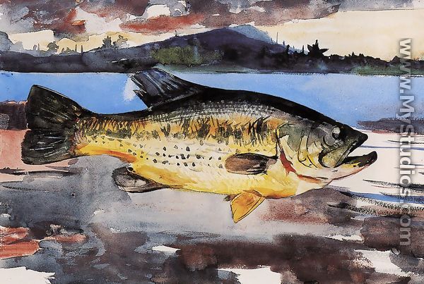 Bass - Winslow Homer