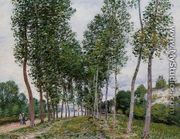 Lane of Poplars on the Banks of the Loing - Alfred Sisley