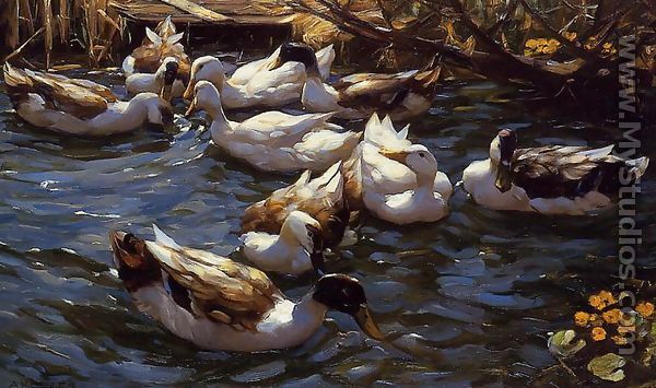 Ducks in the Reeds under the Boughs - Alexander Max Koester