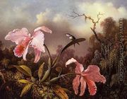 Orchids and Hummingbird - Martin Johnson Heade