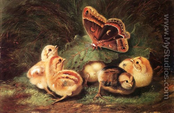 Young Chickens - Arthur Fitzwilliam Tait