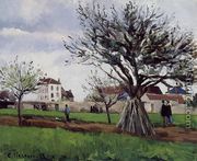 Apple Trees at Pontoise - Camille Pissarro