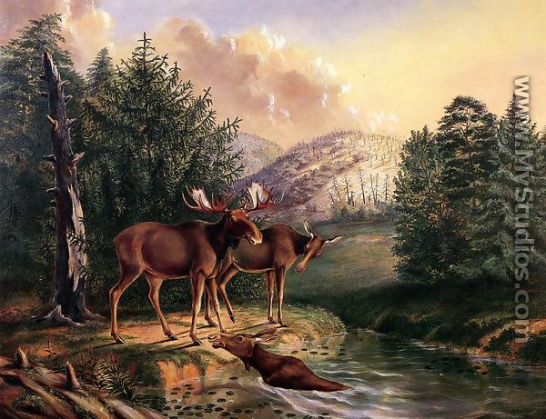 Moose in Maine - Titian Ramsay  Peale