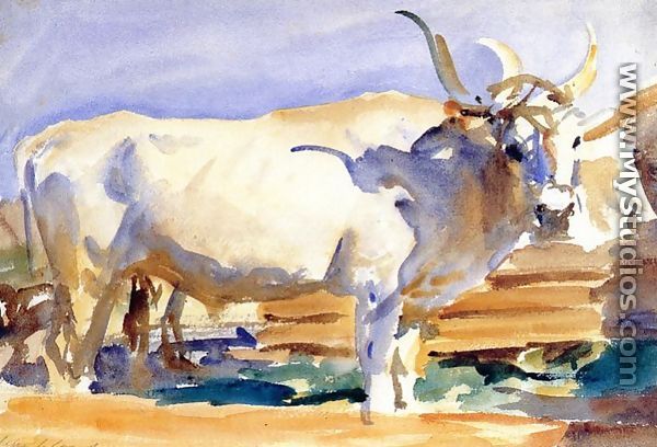 White Ox at Siena - John Singer Sargent