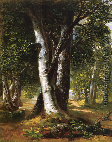 Woodland Path - Richard Lorenz