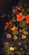 Pansies and Nasturtiums - Levi Wells Prentice