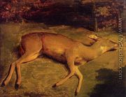 Dead Deer - Gustave Courbet