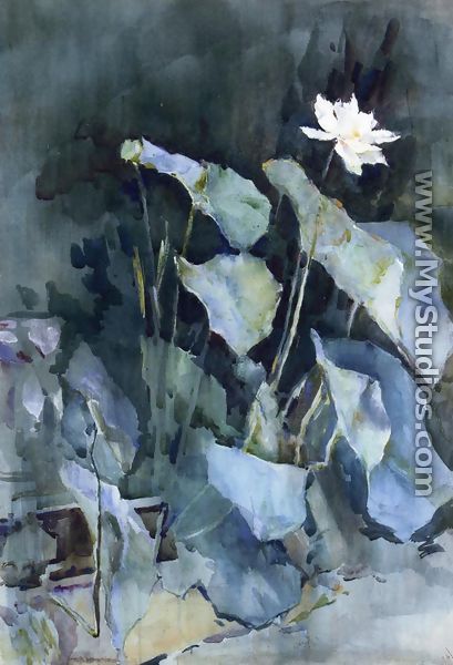 White Lotus - Ralph Wormsley  Curtis