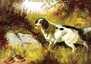 Dog and Quail - Arthur Fitzwilliam Tait