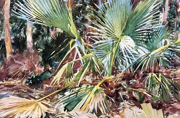 Palmettos, Florida - John Singer Sargent