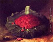 Raspberries - Carducius Plantagenet Ream