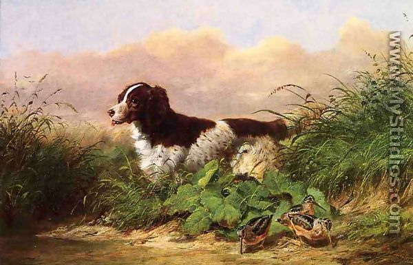 Setter and Woodcock - Arthur Fitzwilliam Tait