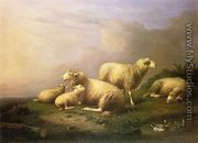 A Flock of Sheep Resting by a Pond - Franz van Severdonck