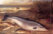 Still Life of Fish - Gustave Joseph  Cheret