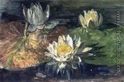 Water-Lilies, Red and Green Pads - John La Farge
