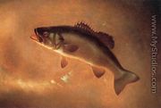 Broadtail Bass - Gurdon Trumbull